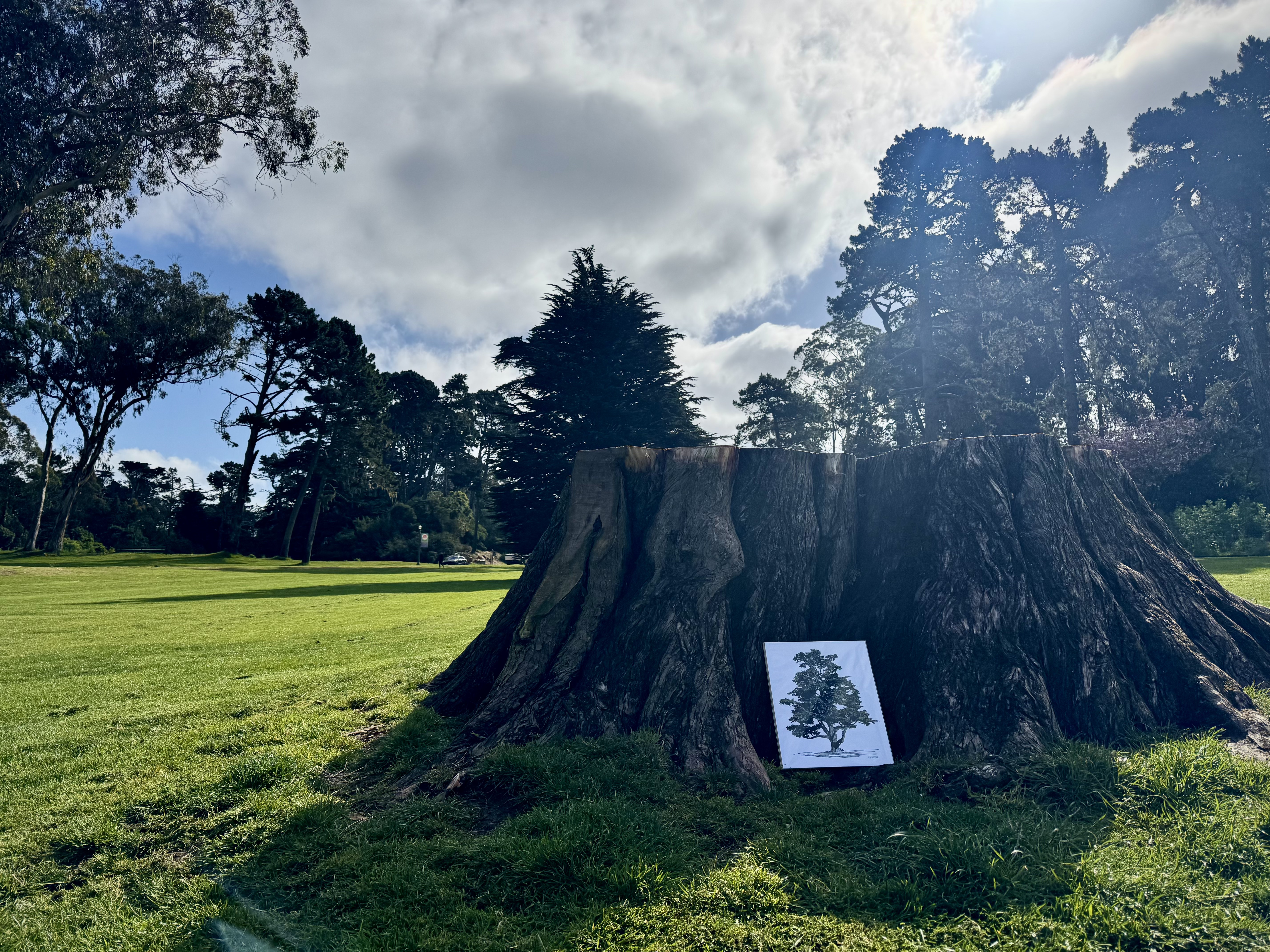 The print, leaning against the stump of the great tree