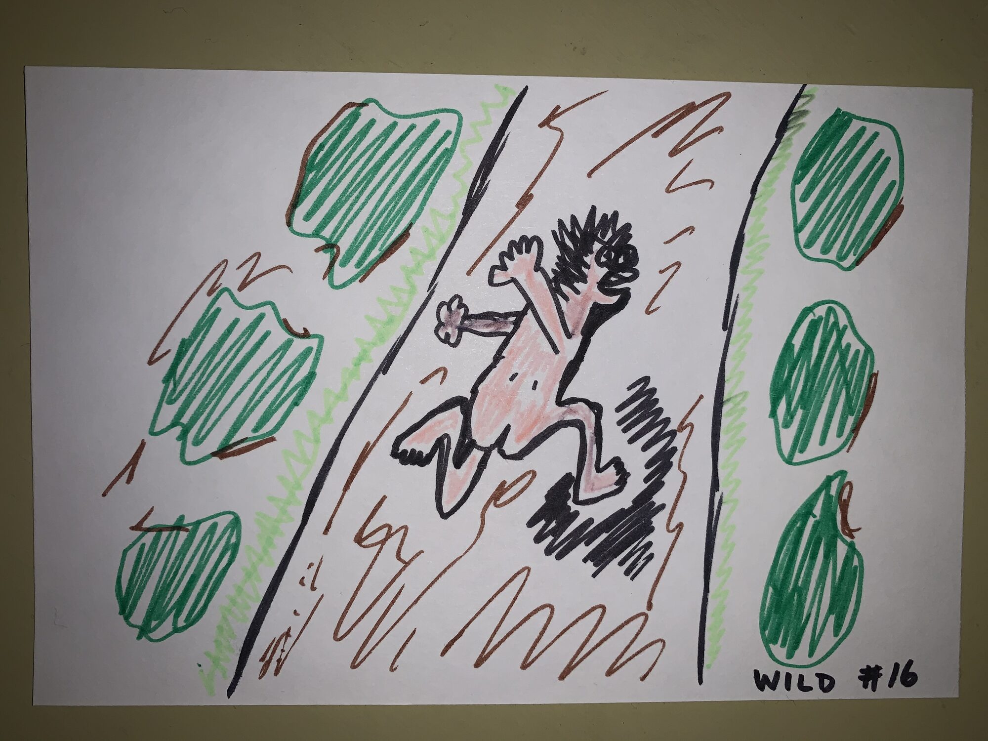 wild