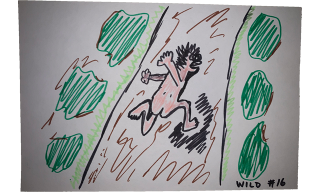 wild