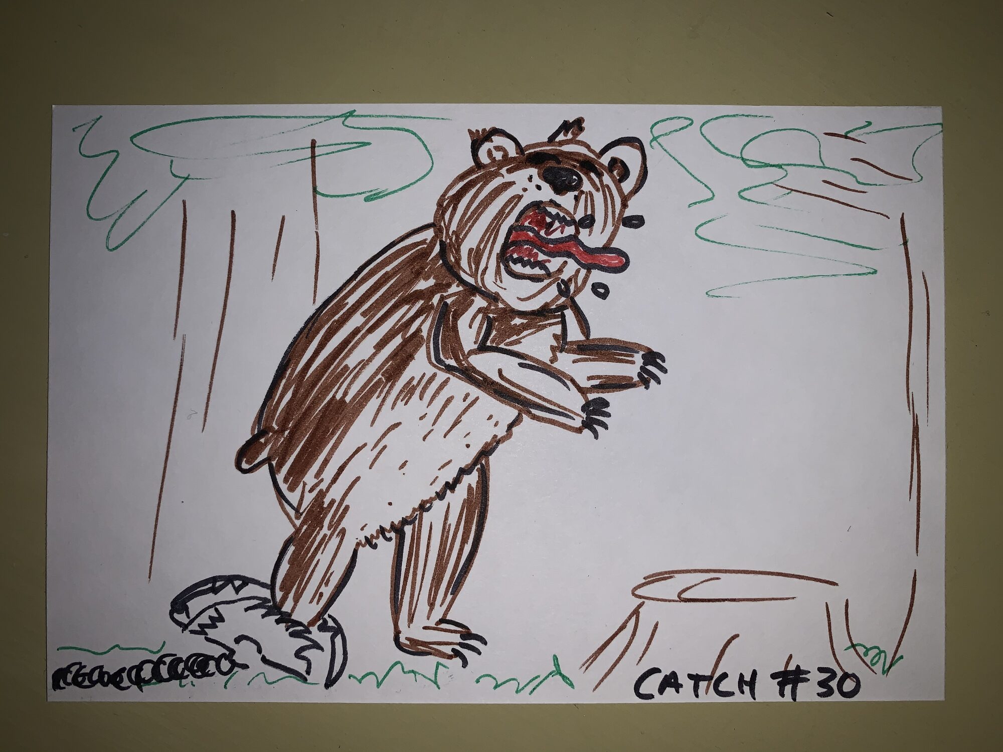 catch